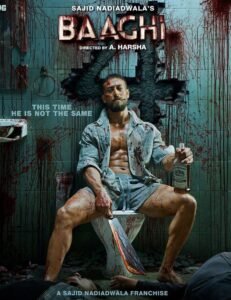 Baaghi 4 Poster Image